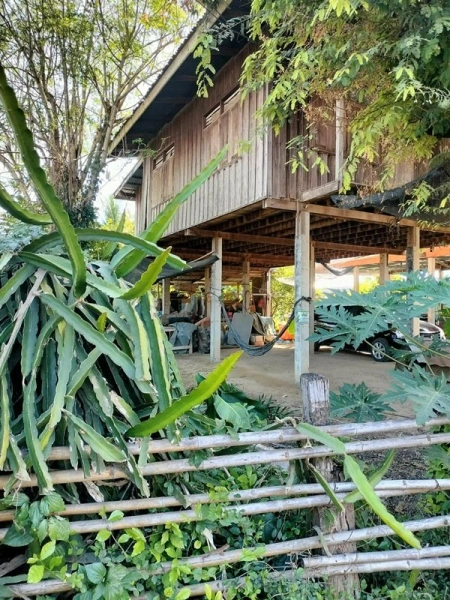 ขายด่วน! (บ้าน 2 ชั้น/ใต้ถุนโล่ง) พร้อมที่ดิน ติดถนนดำ อำเภอลาดยาว นครสวรรค์ โทร 092-6869618